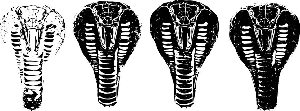 Four stylized black and white cobra snake heads in different hood poses, aggressive venomous reptiles illustration