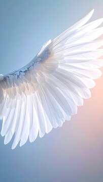 A Close-Up View of a White Angel Wing Against a Softly Blurred Background