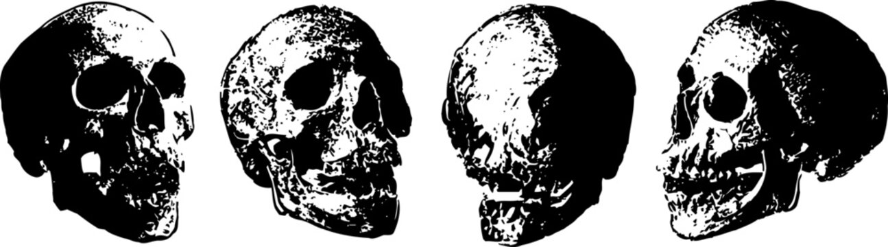 four detailed human skull illustrations in black and white showing different angled views