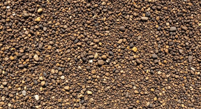 Detailed close-up of rich dark brown earth scattered with tiny natural pebbles and stones, showcasing organic texture and fertile ground, dirt, garden, soil