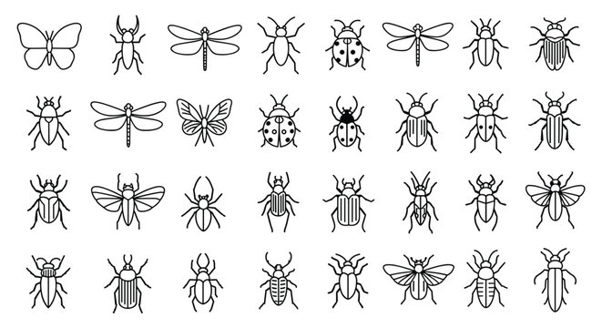 Comprehensive set of insect icons in a simple black and white line art style featuring butterflies, beetles, dragonflies, and other bugs.