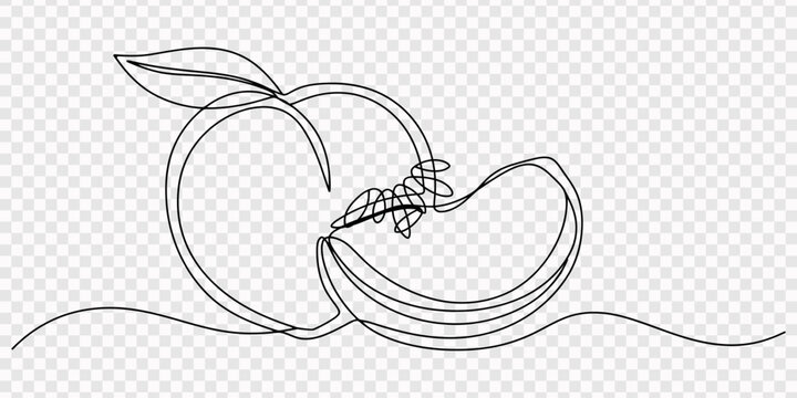 Peach sliced with wedge arranged on continuous line white background. none editable strokes, peach fruit continuous one line drawing, Peach fruit in continuous line art drawing style. one line art 