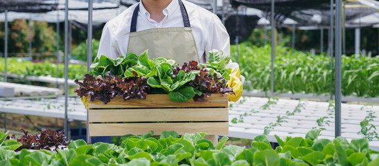 Naklejka premium A man is holding a wooden crate full of greens