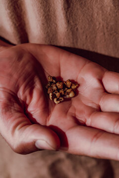 Fresh psilocybin truffles for psychedelic microdosing