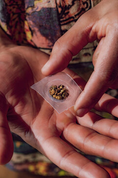 Fresh psilocybin truffles for psychedelic microdosing