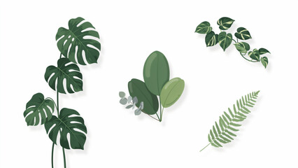 Four different types of tropical houseplants illustration Vector © adobe stock 