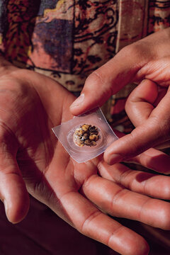 Fresh psilocybin truffles for psychedelic microdosing