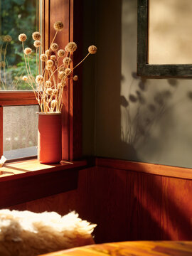 Sunlight shines through the window onto dried flowers in a vase