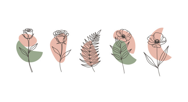 Minimalist botanical line art flowers with pastel organic shapes