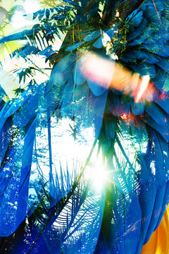 Colorful abstract collage of a parrots feather 