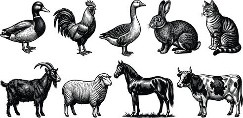 Vintage Farm Animals Linocut Vector Set with Duck Rooster Goose Rabbit Cat Goat Sheep Horse and Cow Linoleum Woodcut Engraving Style Graphics © ovi