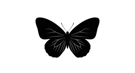 Black butterfly silhouette with detailed wing veins, minimalist insect vector icon, elegant butterfly shape isolated on white background © Seli