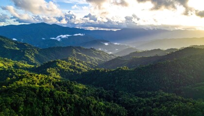 Fototapeta premium Lush green mountains bathed in golden sunlight under a cloudy sky.