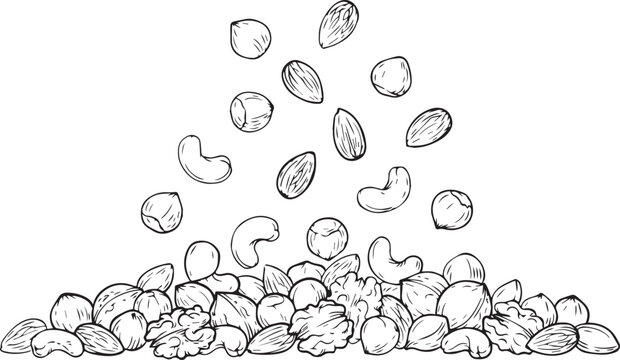 A pile of assorted nuts including almonds and cashews falling from above in a sketch style
