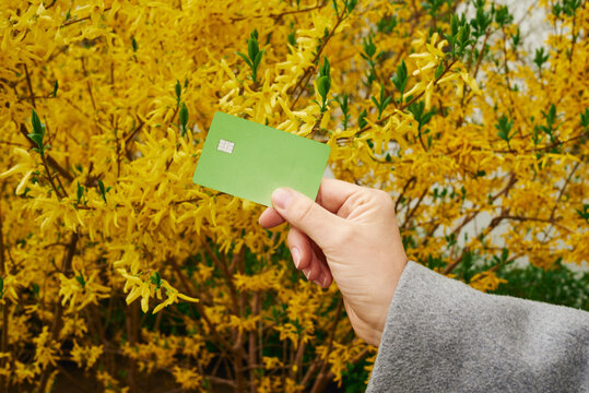 Person holding a credit card in front of bright yellow flowers