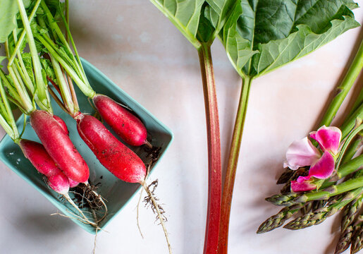 Rhubarb, radish and asparagus