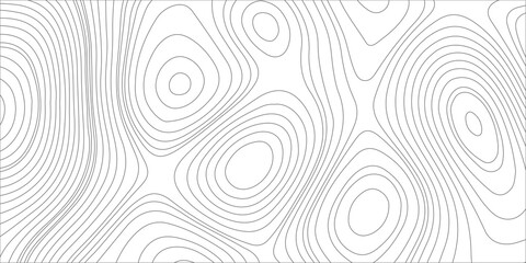Topographic map contour lines background abstract vector illustration of geographic terrain elevation with wavy pattern. Gray topographic contour lines on a white backdrop. © Creative Arts
