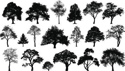 Fototapeta premium Trees collection features eighteen distinct black silhouettes of various species including oaks and pines arranged in a grid format to provide a comprehensive library of botanical design elements.