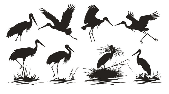 Stork silhouette collection with 8 bird vector elements, flying and nesting crane silhouettes, black heron and egret shapes for nature design