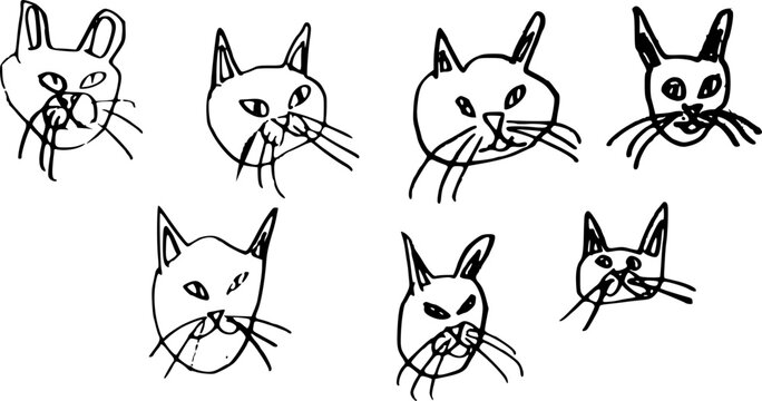A set of funny cat faces (7)