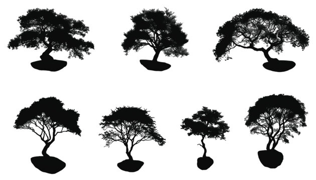 Bonsai trees arranged in a collection demonstrate various intricate shapes and pruning styles in this monochrome illustration designed to provide visual interest for professional landscaping projects.