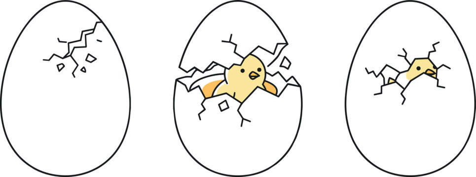 Chick hatching egg illustrations with cracked shell growth stages natural process vector artwork
