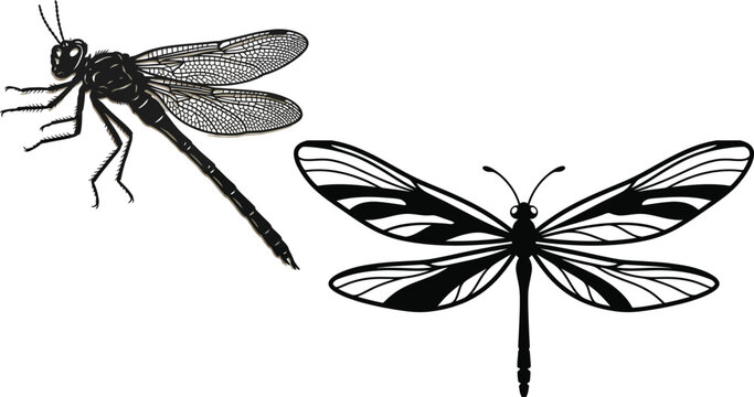 Set of 4 beautiful black butterfly silhouette vector designs with intricate floral lace details isolated on no background for laser cutting.