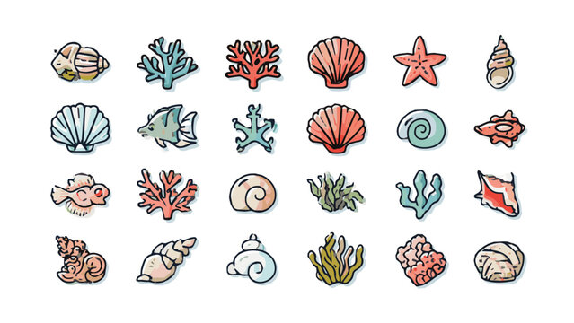 Collection of Various Sea Shells and Marine Life.