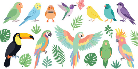 Fototapeta premium Tropical Exotic Birds and Jungle Palm Leaves Vector Collection Featuring Toucan Macaw Cockatoo Hummingbird Budgie Canary and Lovebird Illustrations