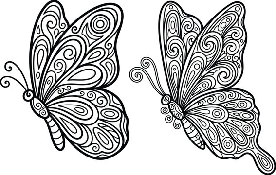 Butterfly Coloring Page &ndash; Decorative Zentangle Line Art