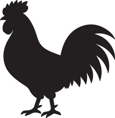 rooster isolated on white background © MdShomrat