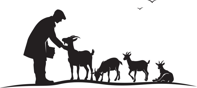 silhouette Man feeding goats on hill with birds flying overhead