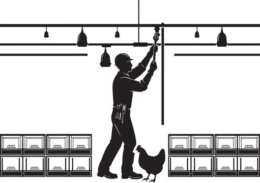 silhouette Man in hardhat changing light bulb with chicken by crates des
