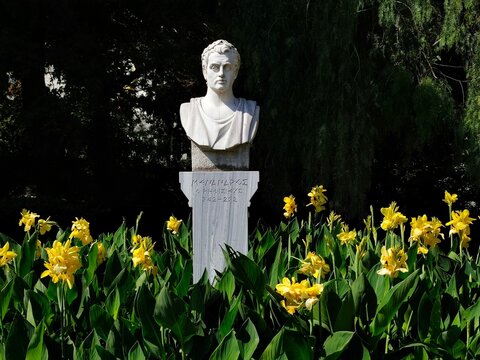 Photo of the marble bust of the ancient Greek playwright Menander, the most renowned representative of Athenian New Comedy, set amidst vibrant yellow flowers in Alsos Kifisias (Kifissia Park), Athens.