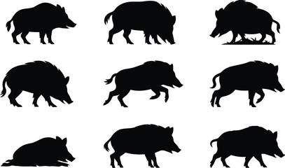Obraz premium Set of black silhouettes of wild boars in various poses and walking positions