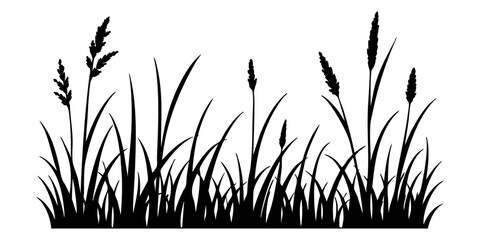 Obraz premium Wild meadow grass silhouette with seed heads and varied blades, isolated black vector border clipart for landscaping, decoration and rustic natural design Vector illustration