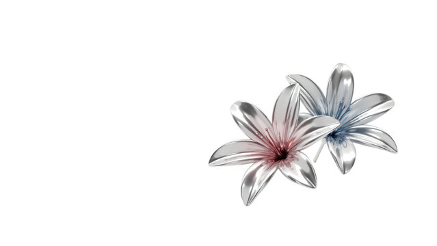 Two metallic lily flowers with shiny silver petals and soft pink reflections isolated on a plain black background, for use