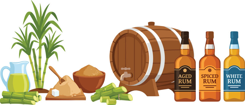 Rum Production Elements Vector Illustration with Sugarcane Plant Stalks Wooden Aging Barrel and Bottles of Aged Spiced and White Rum for Bar and Distillery Graphic Designs