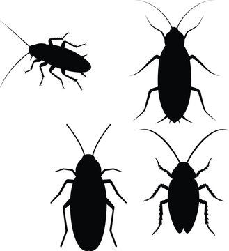 Collection of cockroach silhouettes with realistic top and profile views, black pest control icons, clean vector graphics isolated on white