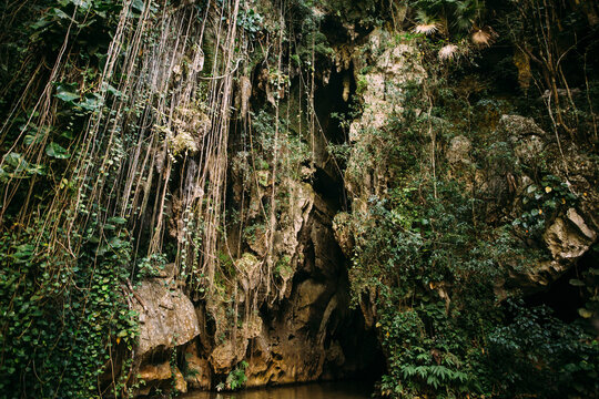 Cave in Cuba, 