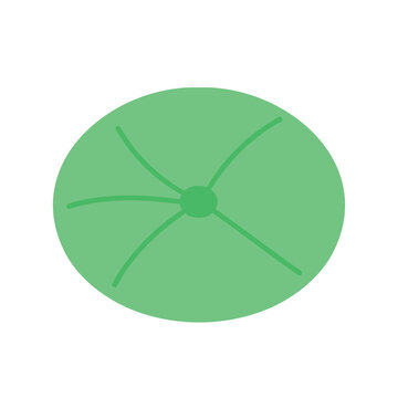 Stylized tree top view in flat design shows verdant canopy with radial branch structure