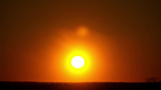 A bright sun dips below a dark tree line as the sky turns from orange to black. The time-lapse footage features high contrast silhouettes and rich warm tones.