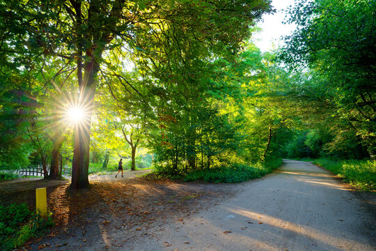  Runner along the Gravelle stream in the Vincennes wood. Paris 12th arrondissement