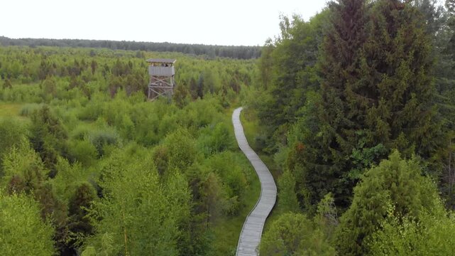 An aerial, high angle shot of a winding wooden boardwalk or nature trail cutting through a vibrant green, tundra like landscape and forest area in Lithuania.