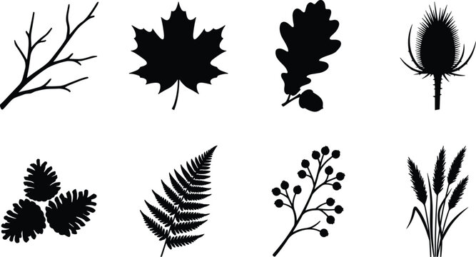 Set of autumn forest flora black silhouettes representing botanical leaf branch pine cone and wild plants