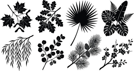 Tree branches and leaves vector silhouette icon set featuring maple oak palm tropical bouquet willow eucalyptus pine and cherry blossom © SONJOYKUMAR