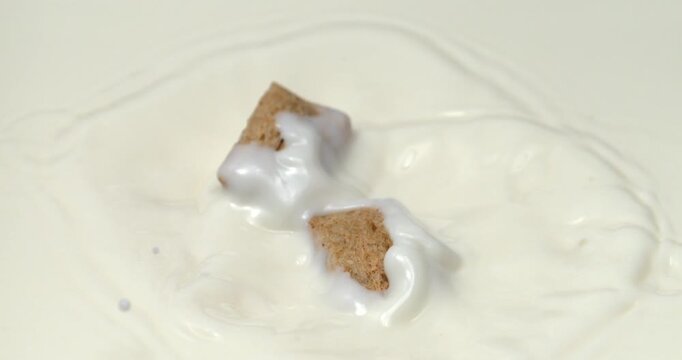 Cereal pillows falling into milk or yogurt with splash in slow motion 1000 fps