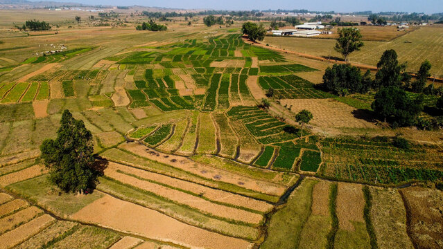 Aerial shot of lush green landscape