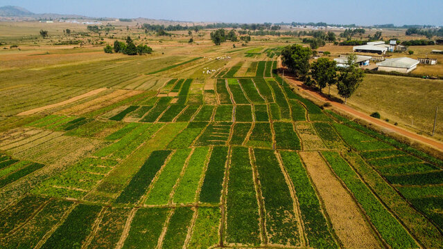 Aerial shot of lush green landscape