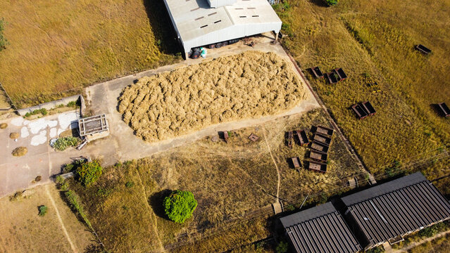 Top-down aerial view of farm harvest 